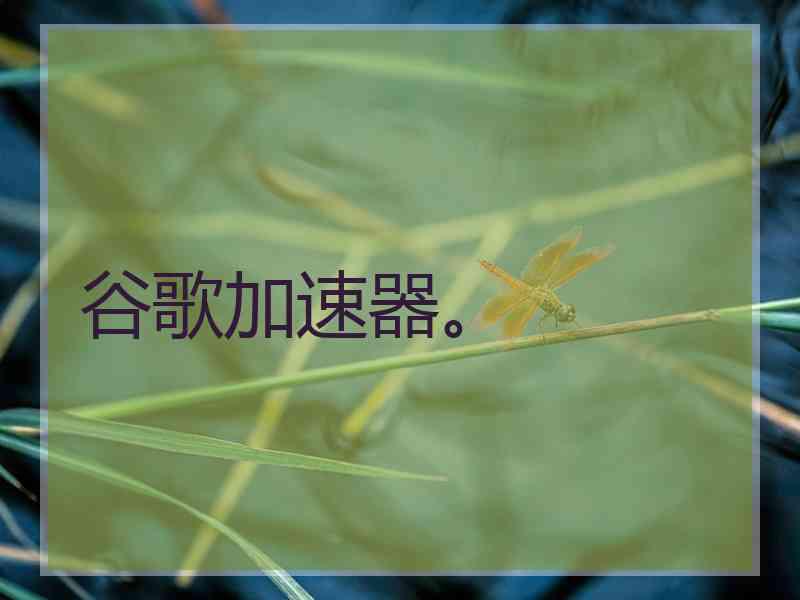 谷歌加速器。