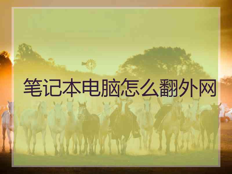 笔记本电脑怎么翻外网