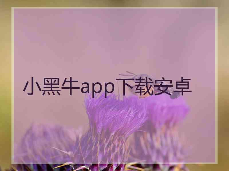 小黑牛app下载安卓