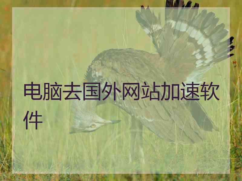 电脑去国外网站加速软件