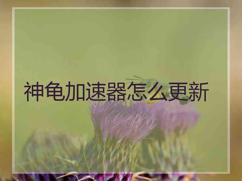 神龟加速器怎么更新