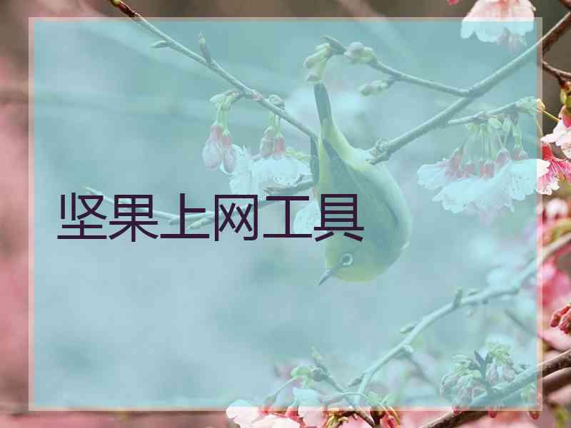 坚果上网工具