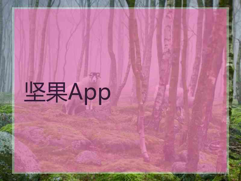 坚果App