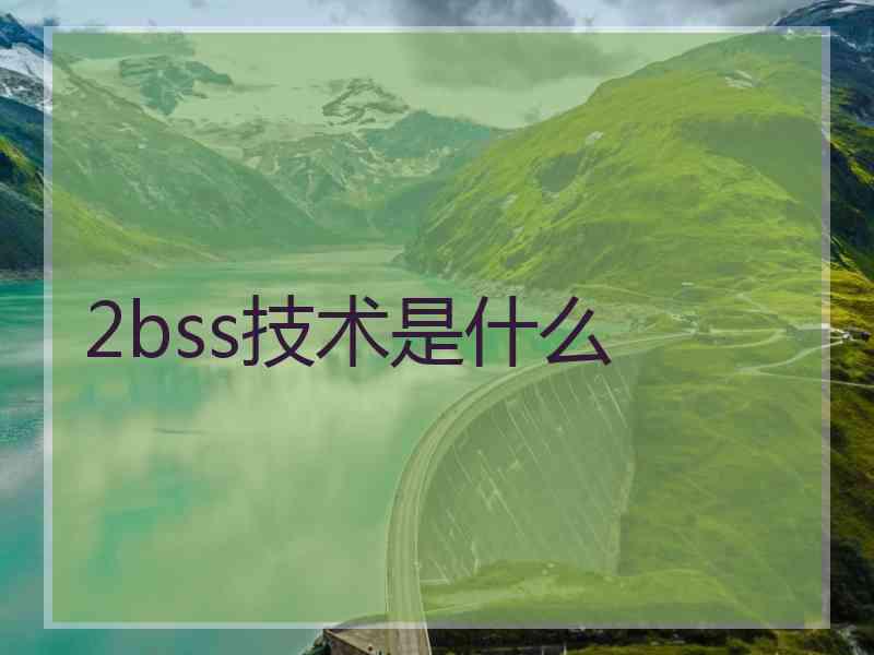 2bss技术是什么
