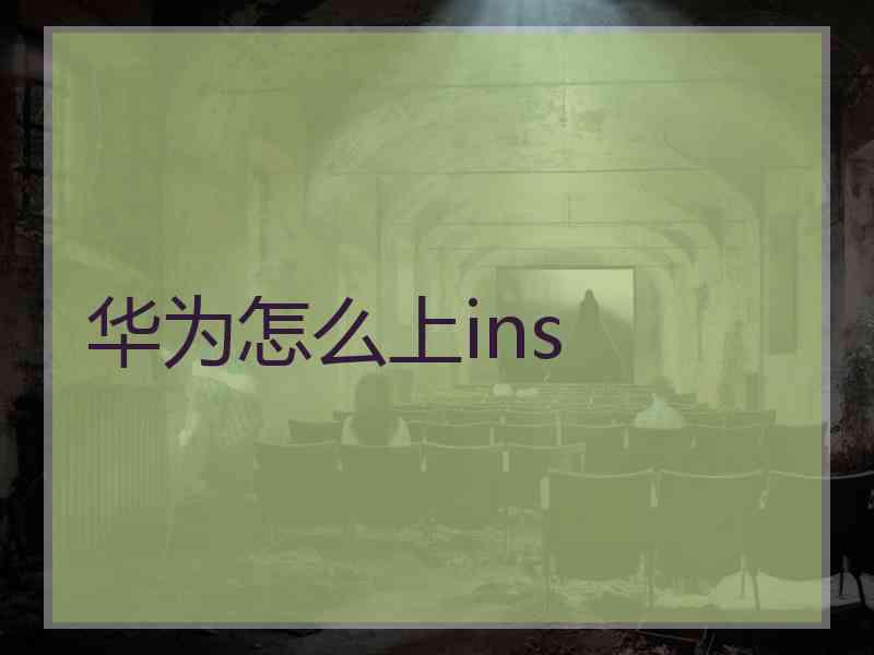 华为怎么上ins