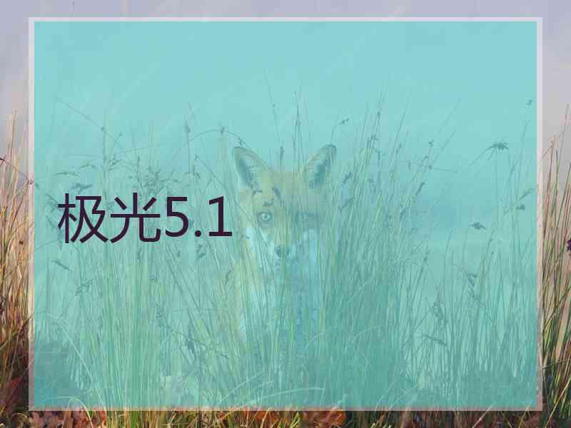 极光5.1