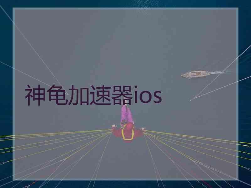 神龟加速器ios