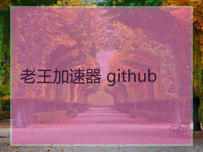 老王加速器 github