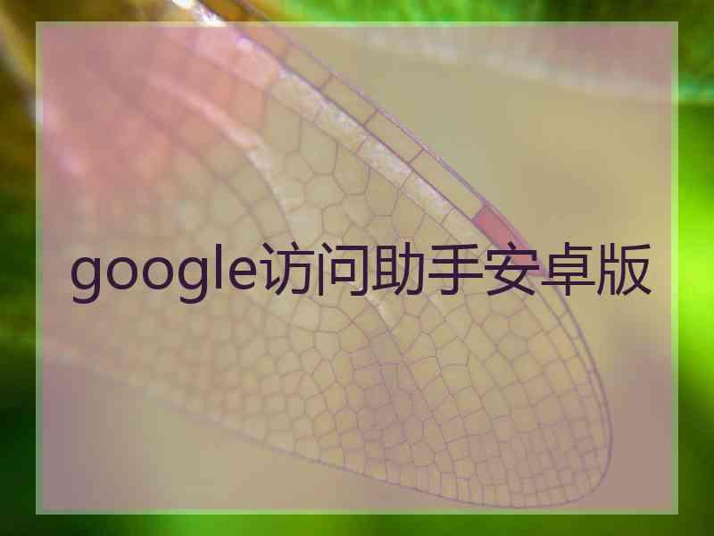 google访问助手安卓版