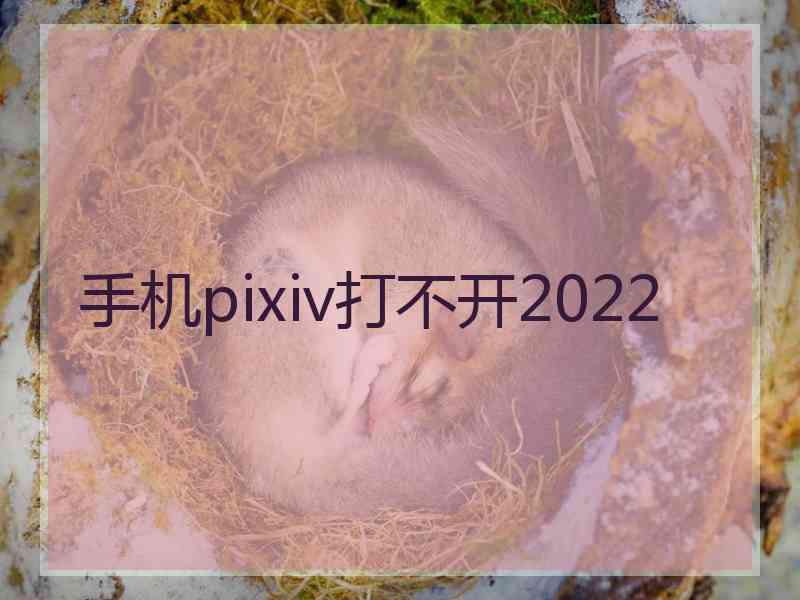 手机pixiv打不开2022