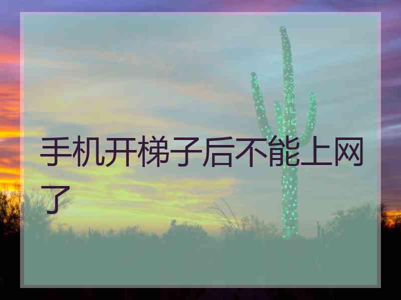 手机开梯子后不能上网了