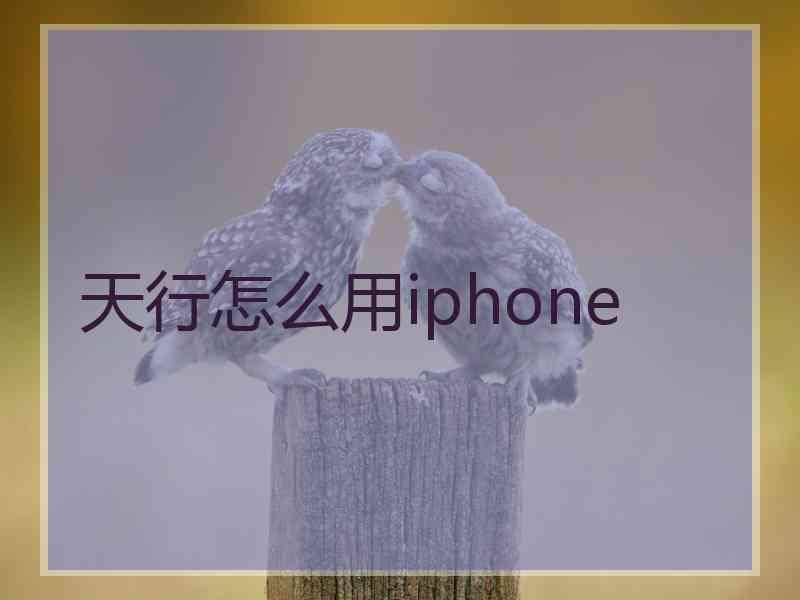 天行怎么用iphone