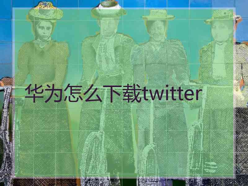 华为怎么下载twitter