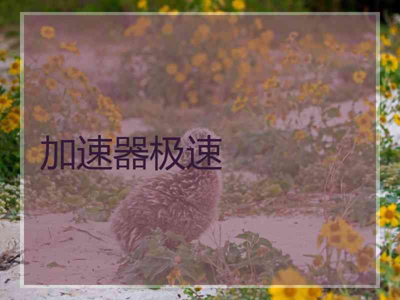 加速器极速