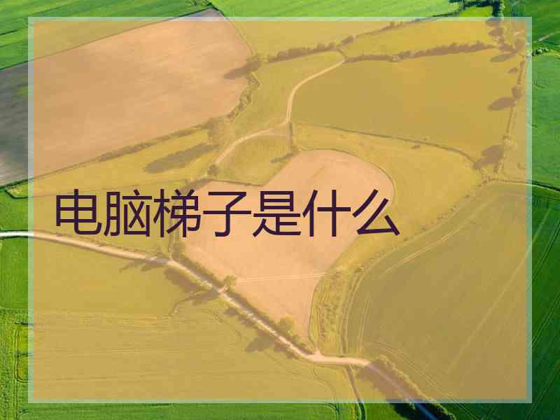 电脑梯子是什么