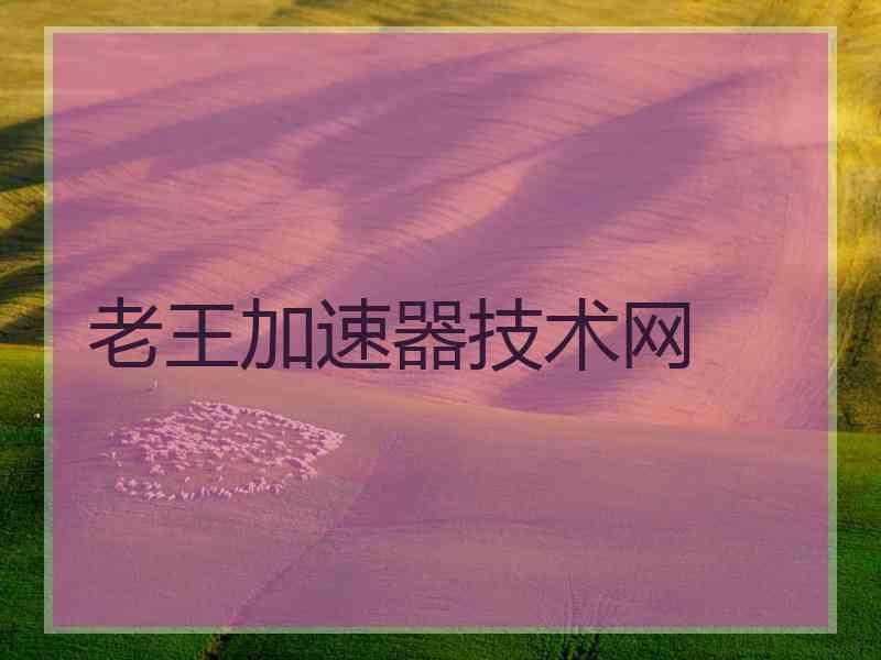 老王加速器技术网