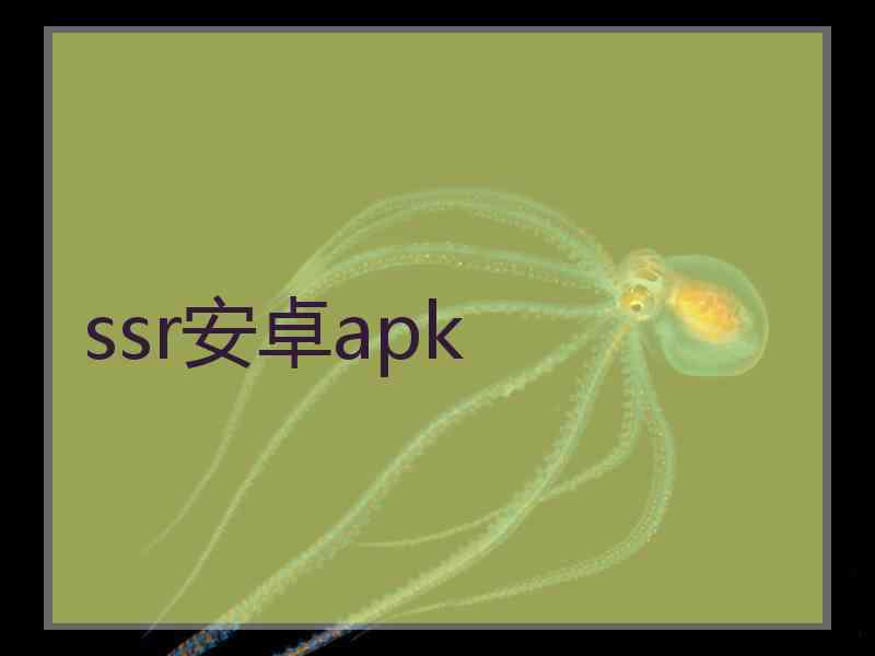 ssr安卓apk