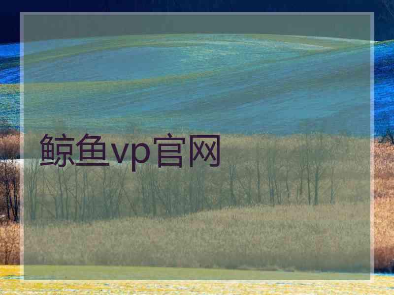 鲸鱼vp官网