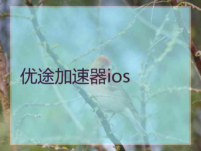 优途加速器ios