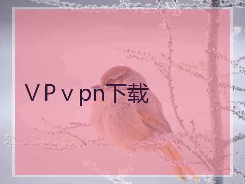ⅤPⅴpn下载