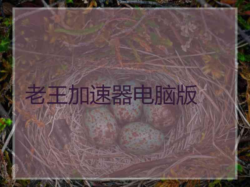 老王加速器电脑版