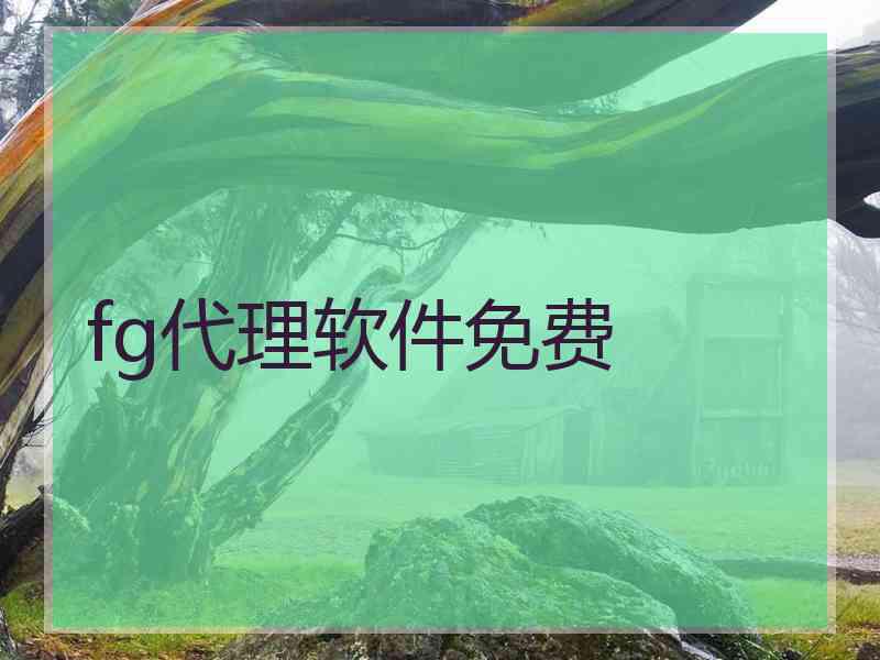 fg代理软件免费