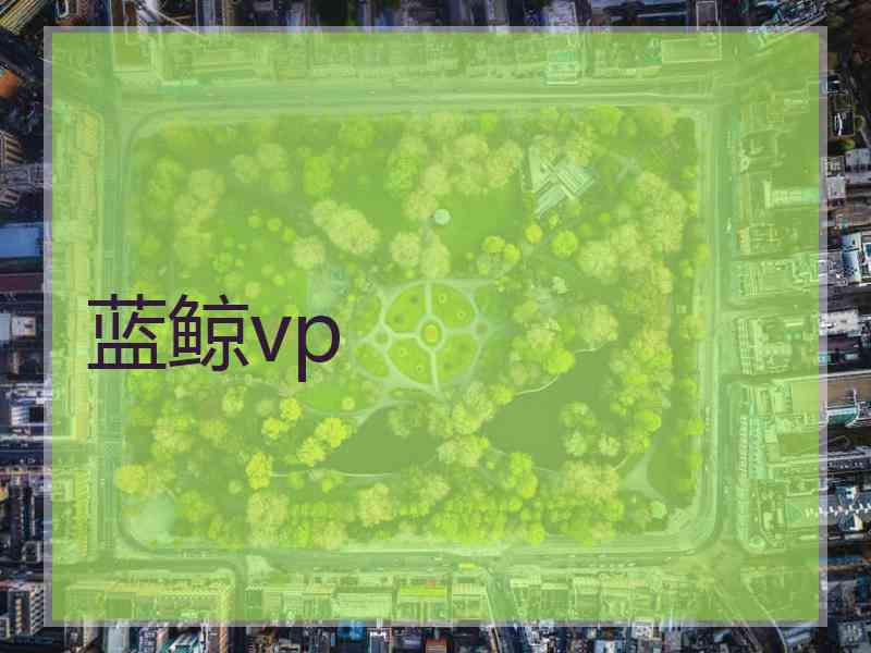 蓝鲸vp