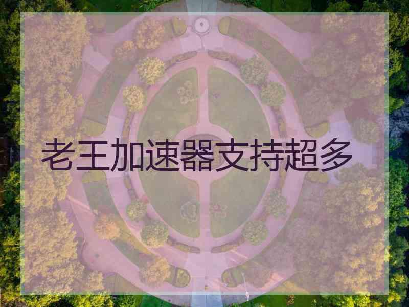 老王加速器支持超多