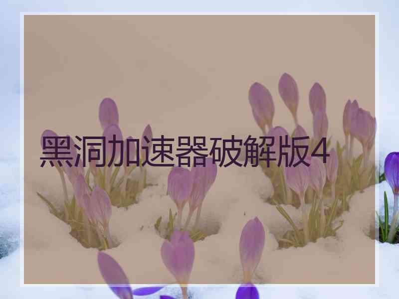 黑洞加速器破解版4