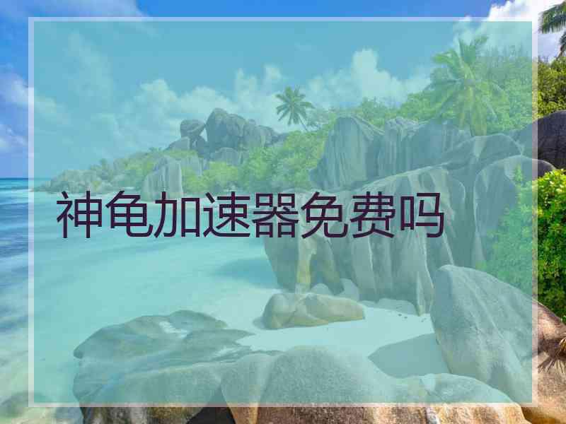 神龟加速器免费吗