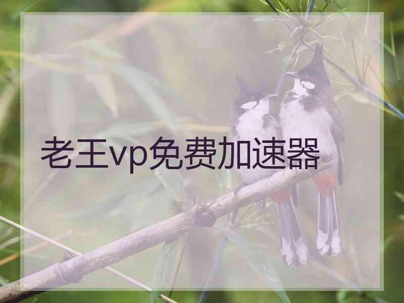 老王vp免费加速器