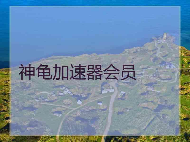 神龟加速器会员