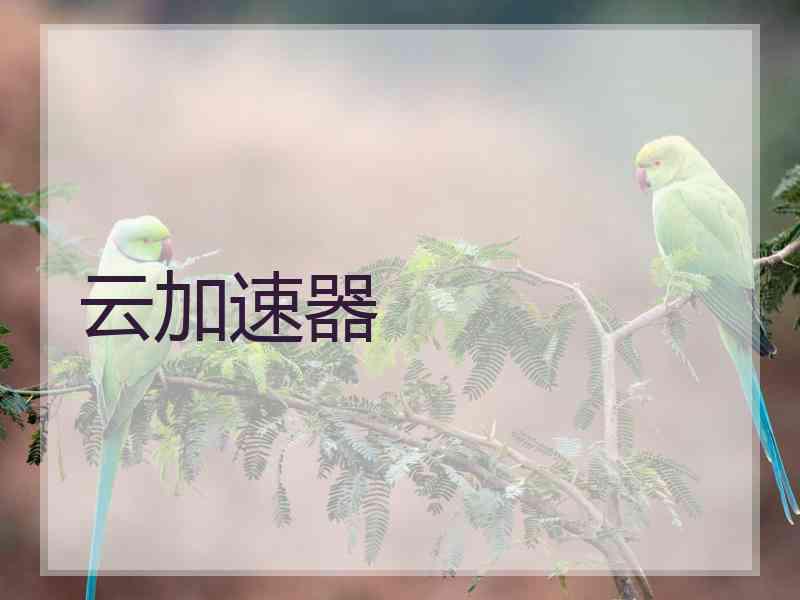 云加速器