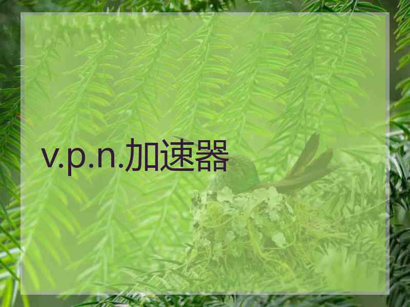 v.p.n.加速器
