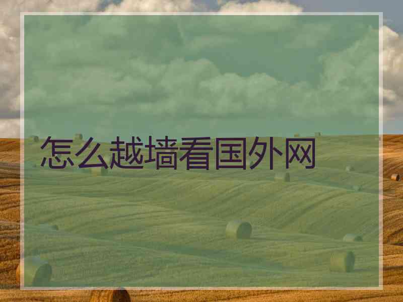 怎么越墙看国外网