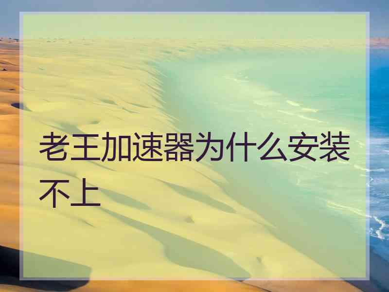 老王加速器为什么安装不上