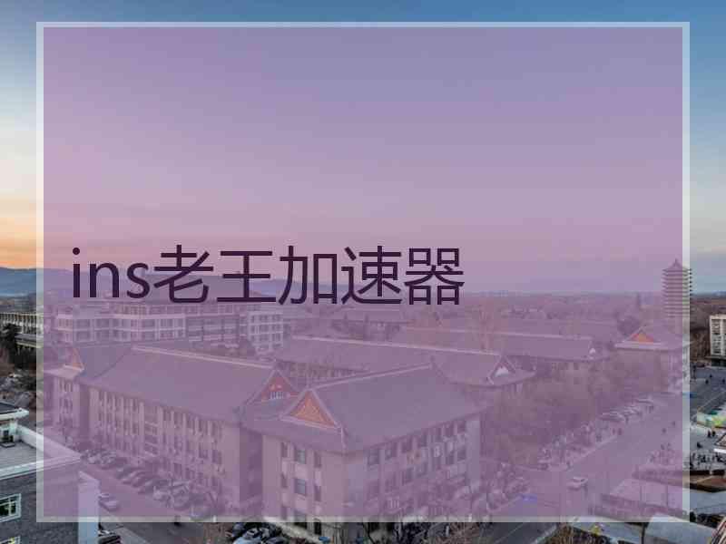 ins老王加速器