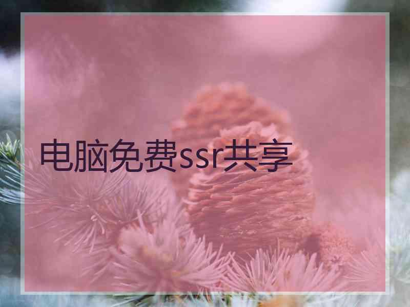 电脑免费ssr共享