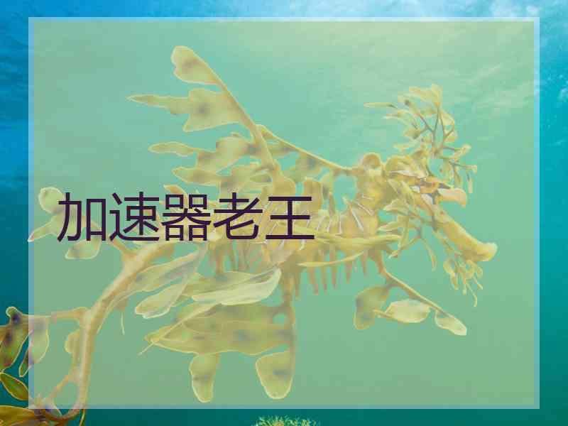 加速器老王