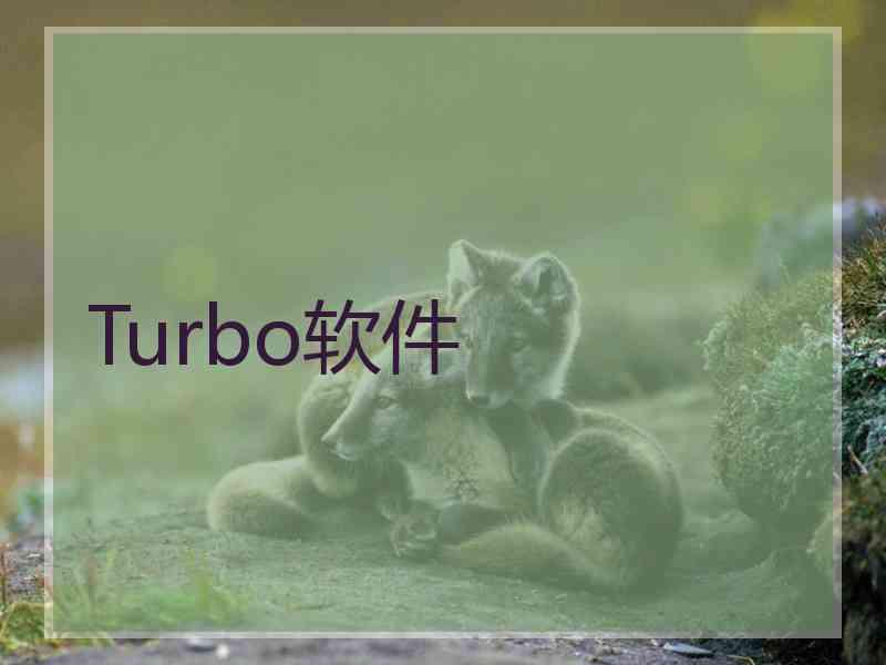 Turbo软件