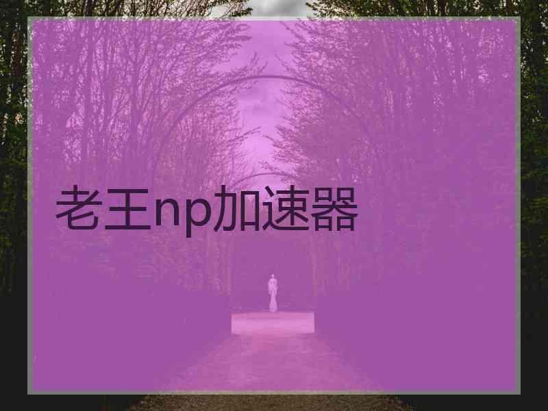 老王np加速器