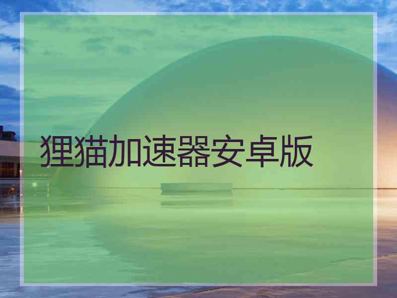 狸猫加速器安卓版