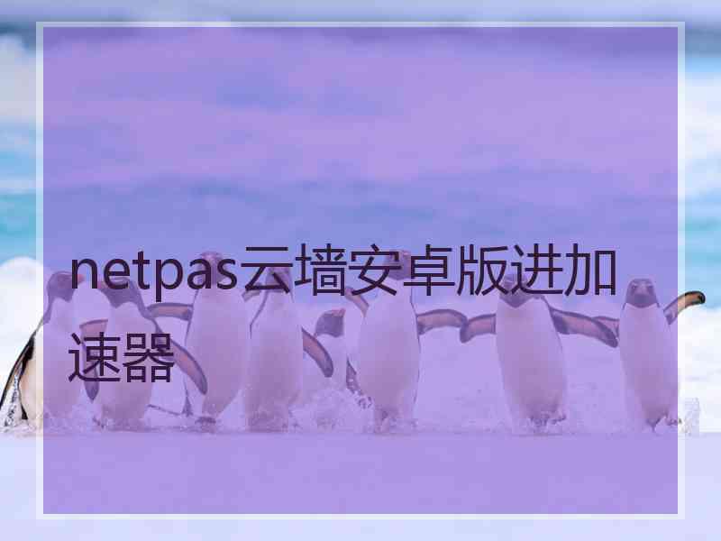netpas云墙安卓版进加速器