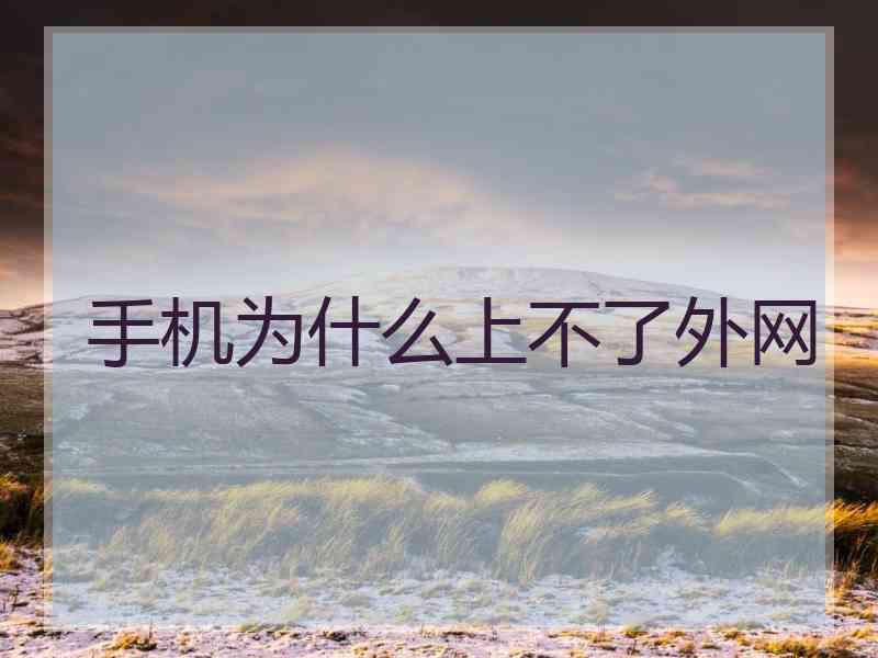 手机为什么上不了外网