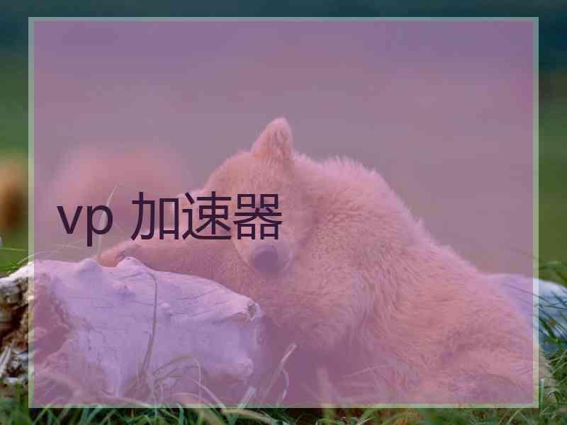 vp 加速器