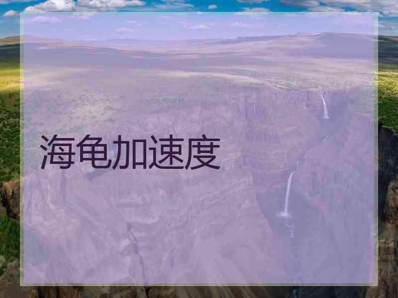 海龟加速度