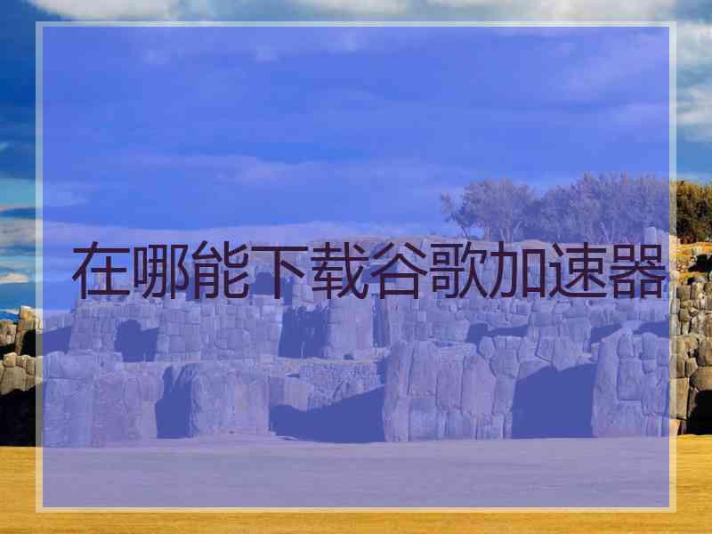 在哪能下载谷歌加速器