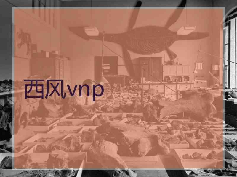 西风vnp