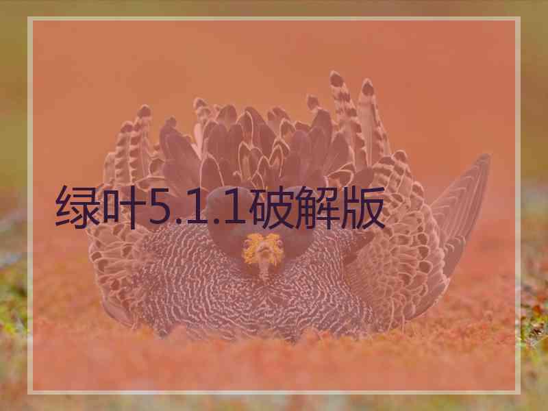 绿叶5.1.1破解版