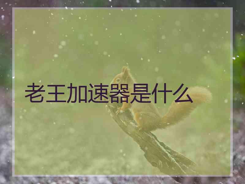 老王加速器是什么